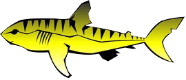 sharks.png sharks.png