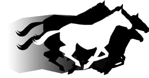 ponies.png ponies.png