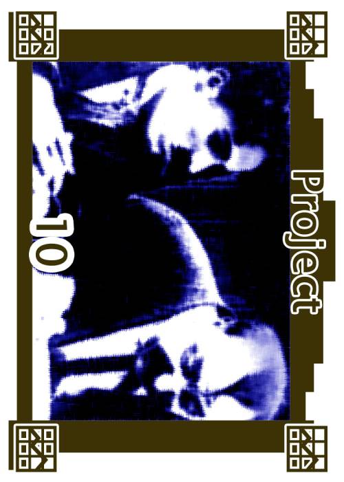 project_010.jpg project_010.jpg