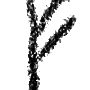 fehu_rune.gif